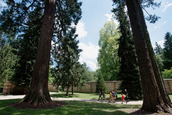 Domaine d'Harcourt