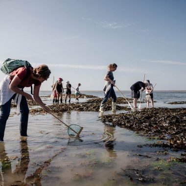 Pêche à pied à Saint-Aubin-sur-Mer