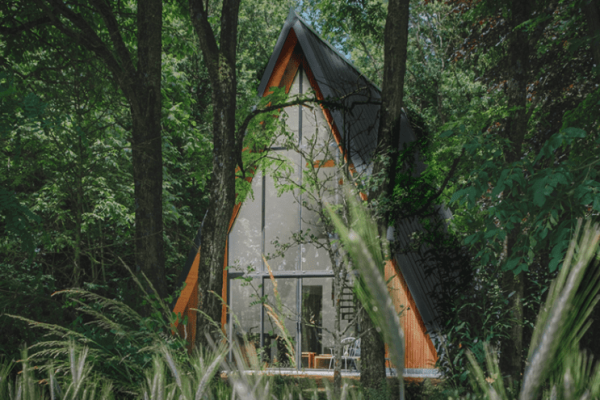 lodge-forme-triangulaire-en-foret