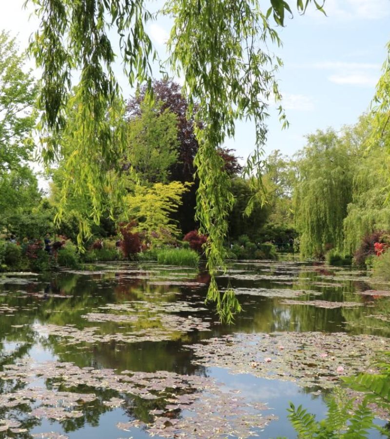 Fin de semana con amigos en Vernon y Giverny Arte + Historia