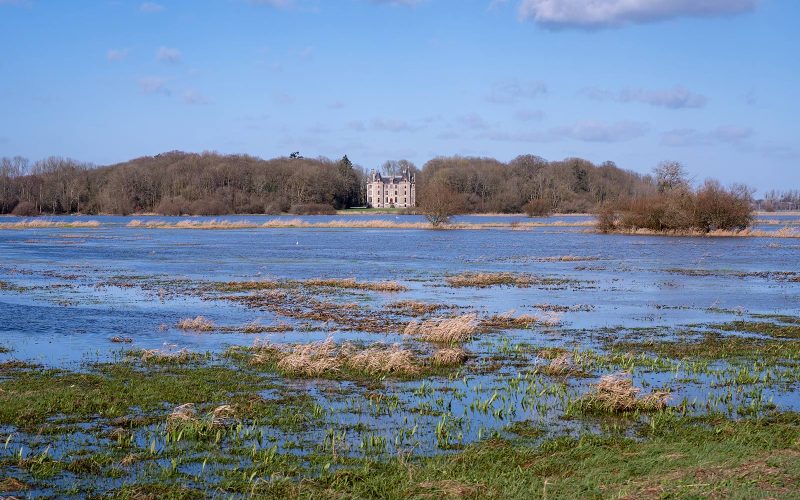 Parque Natural Regional de las Marismas de Cotentin y Bessin