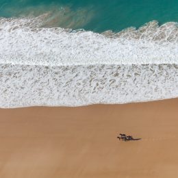 Plages du Cotentin