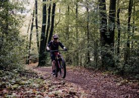 cyliste-en-foret