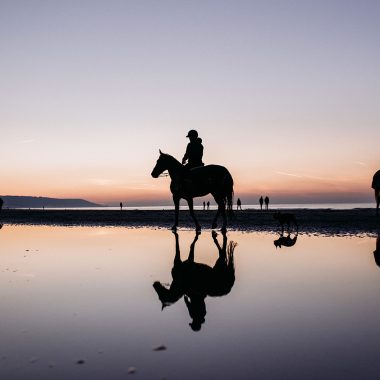Chevaux sur la plage de Deauville