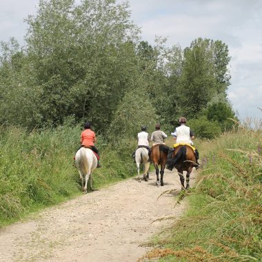 Balade à cheval en vallée de Seine