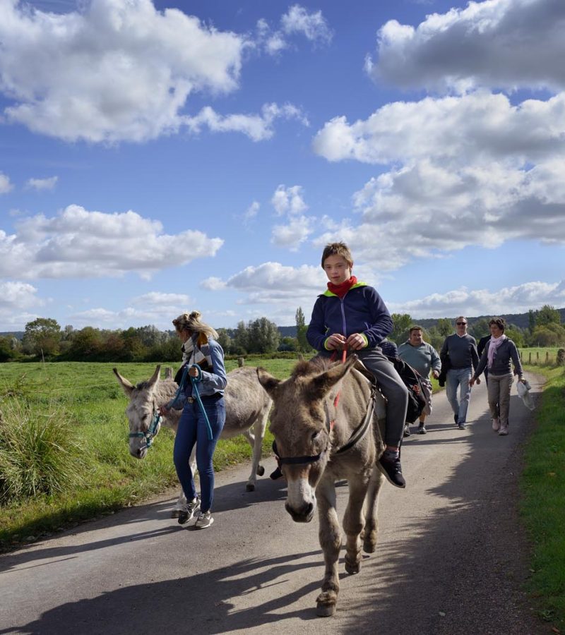 Paseo en burro por el corazón del Marais Vernier