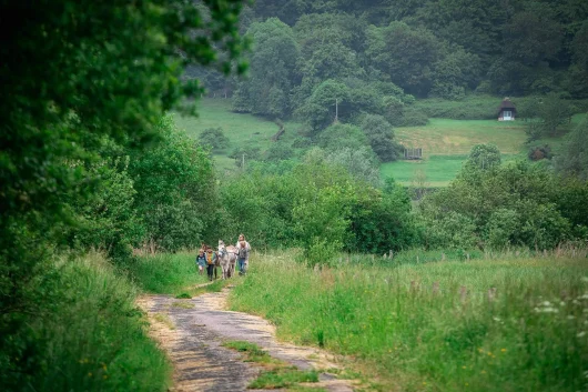 Balade à dos d'âne, groupe d'enfants accompagné d'adultes dans le Marais Vernier