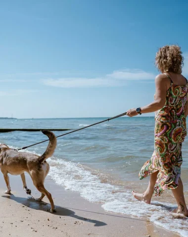 Playas aptas para perros en Normandía