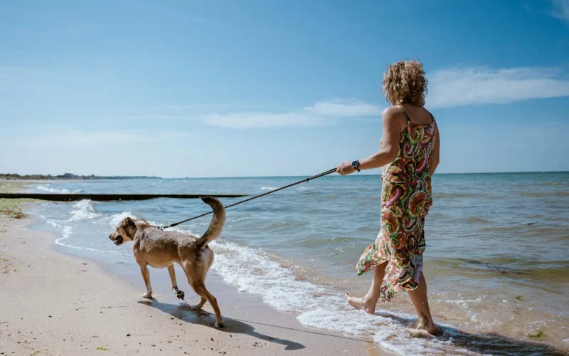 Playas aptas para perros en Normandía