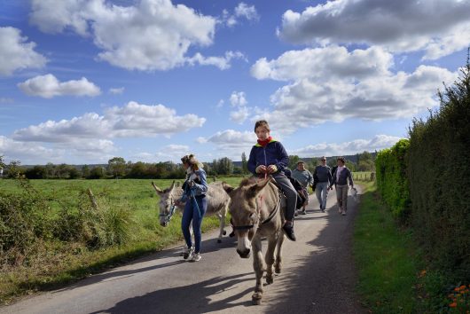expérience balade à dos d'âne au coeur du Marais Vernier