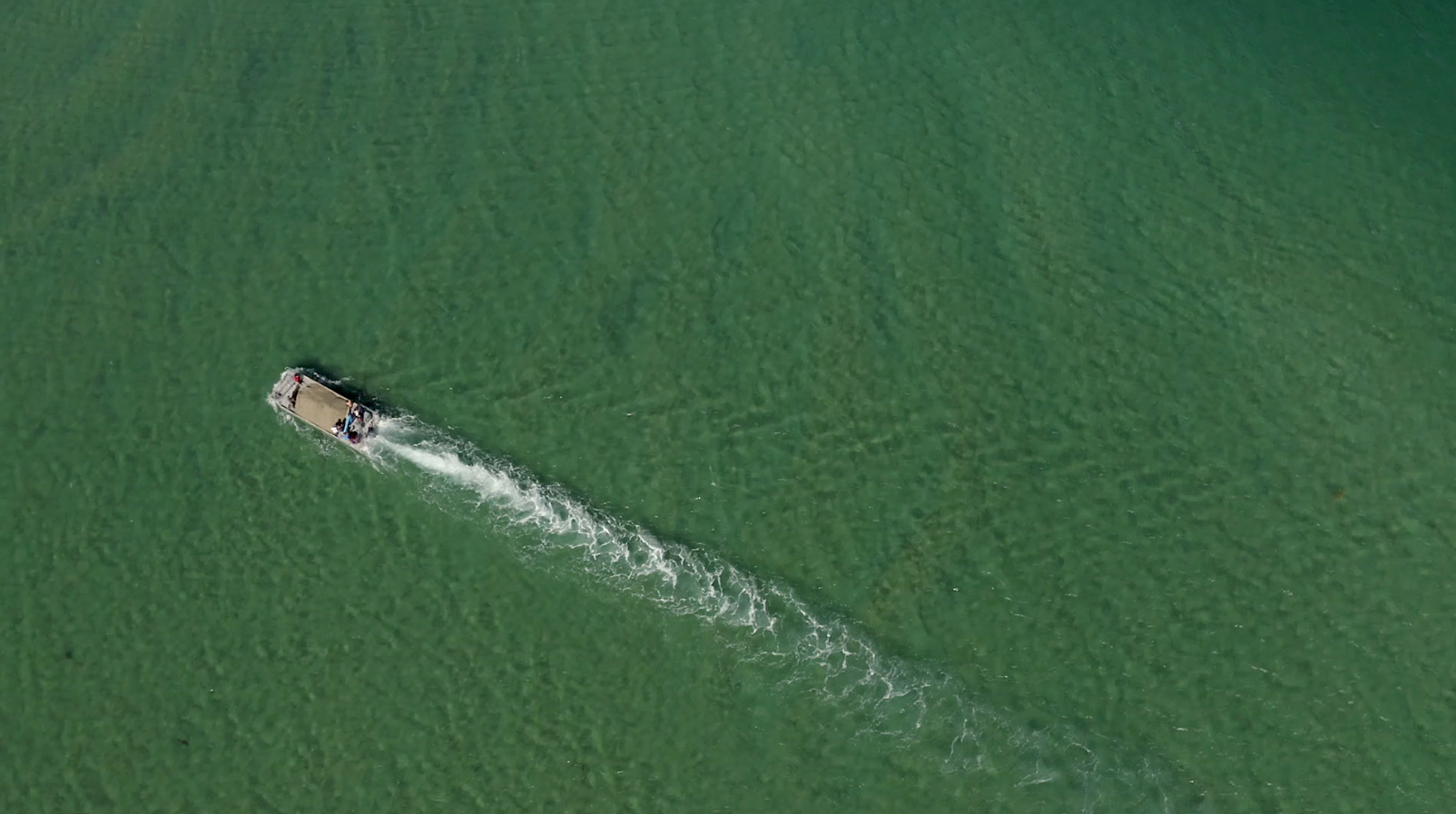 Kayak vers les îles Chausey - Expérience